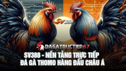 Sv388 - Nền tảng trực tiếp đá gà Thomo hàng đầu châu Á